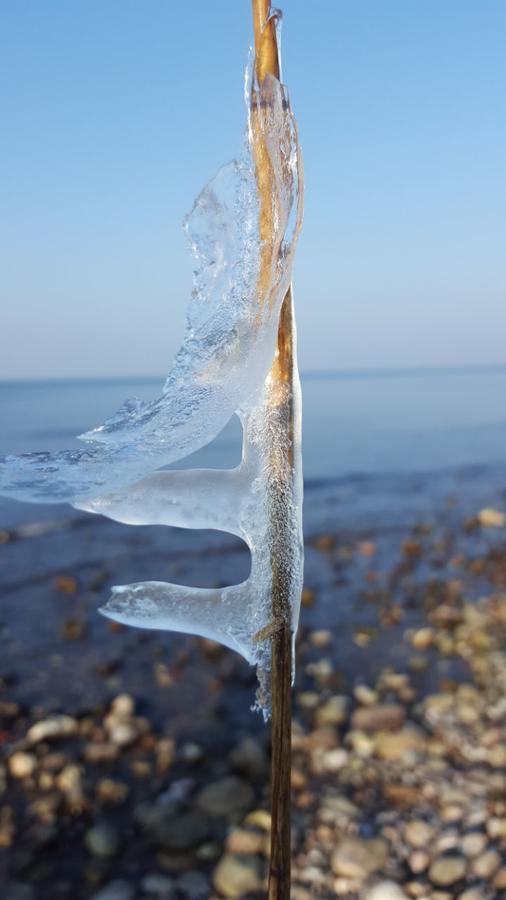 Hotel Alt Wittower Krug Wiek auf Rügen Kültér fotó